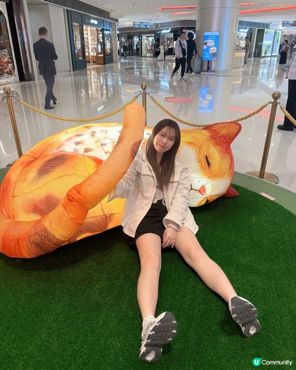 藝術節貓咪夢遊展覽✨