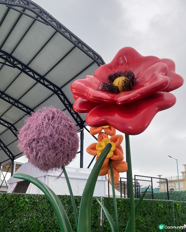 CJ Hendry Flower Market