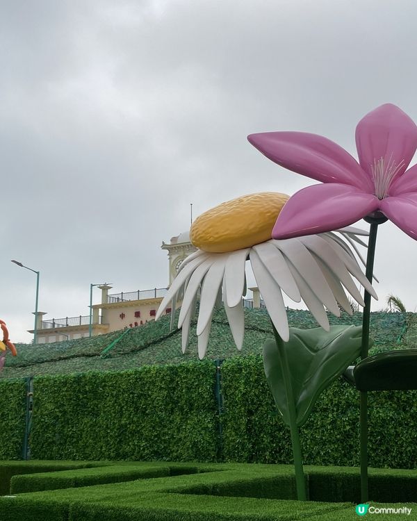 CJ Hendry Flower Market