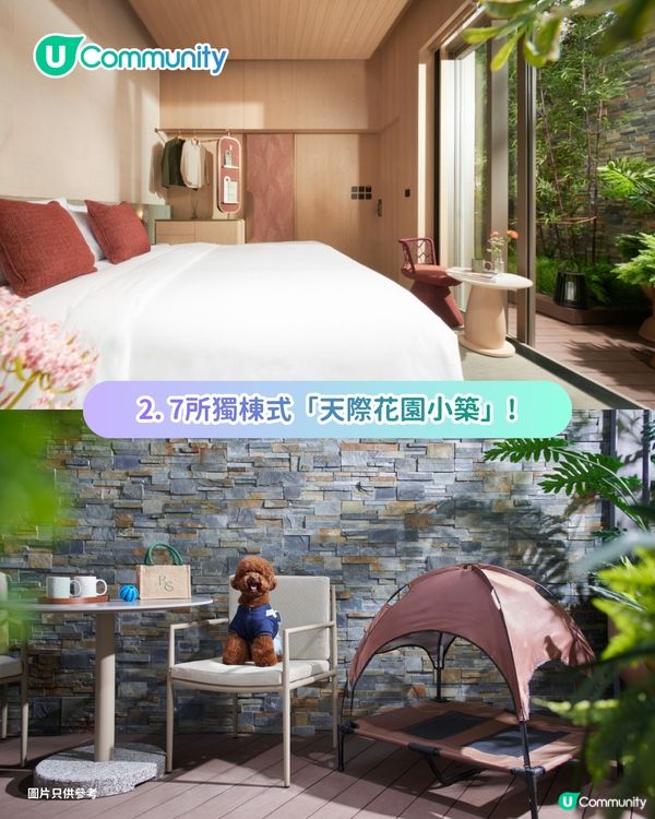 【免費試住】全新五星級酒店！設獨棟式Villa/寵物友善/私人花園🌿偽出國度假首選！