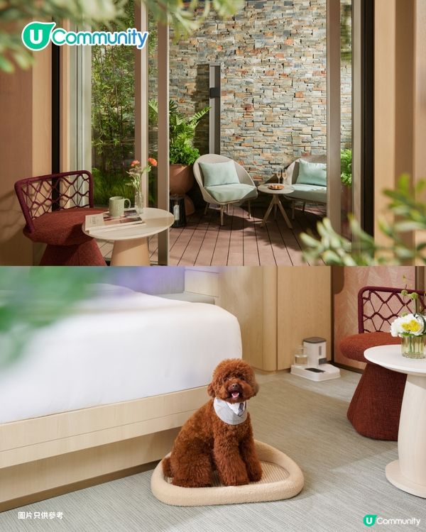 【免費試住】全新五星級酒店！設獨棟式Villa/寵物友善/私人花園🌿偽出國度假首選！