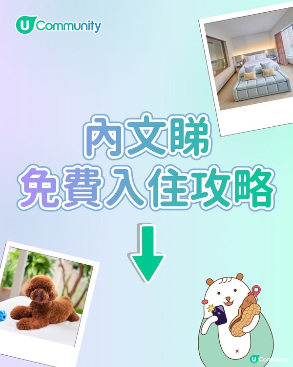 【免費試住】全新五星級酒店！設獨棟式Villa/寵物友善/私人花園🌿偽出國度假首選！