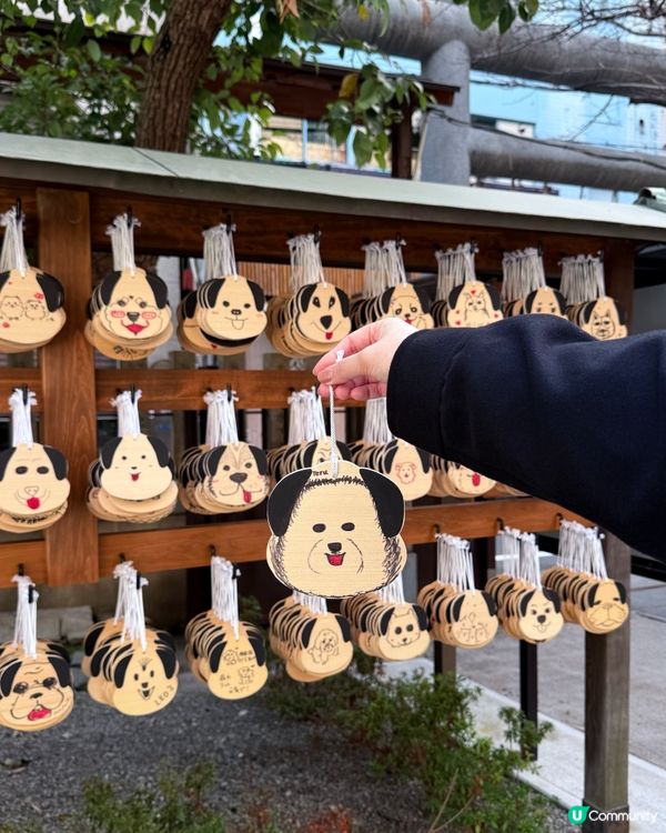 🇯🇵大阪必去的狗狗神社