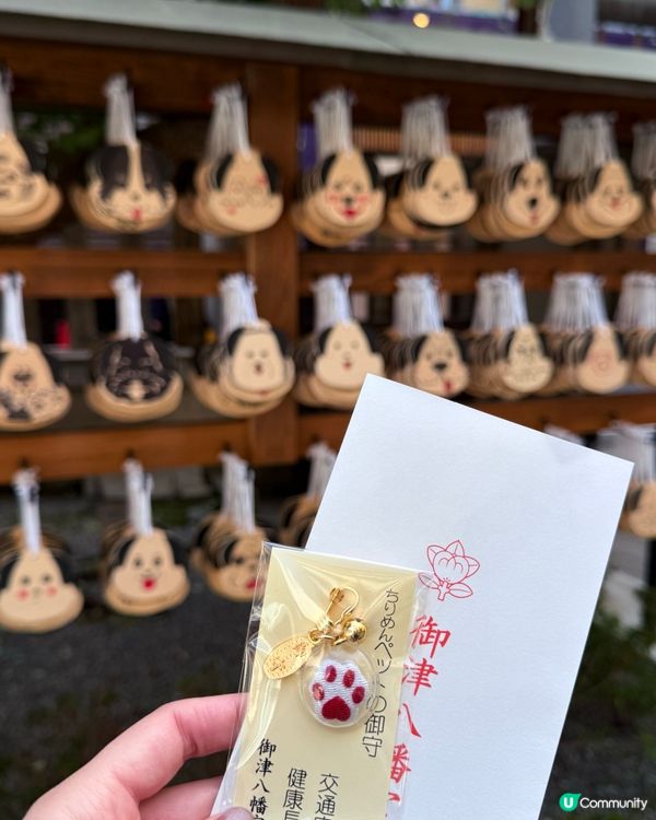 🇯🇵大阪必去的狗狗神社