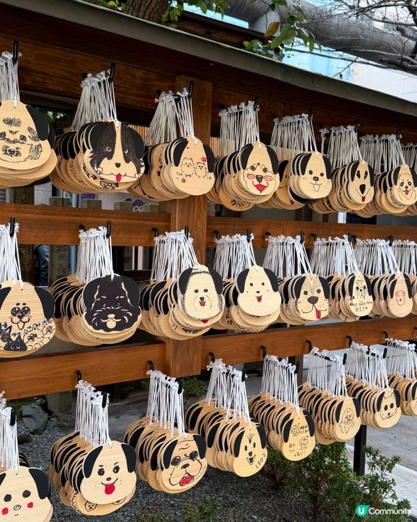 🇯🇵大阪必去的狗狗神社