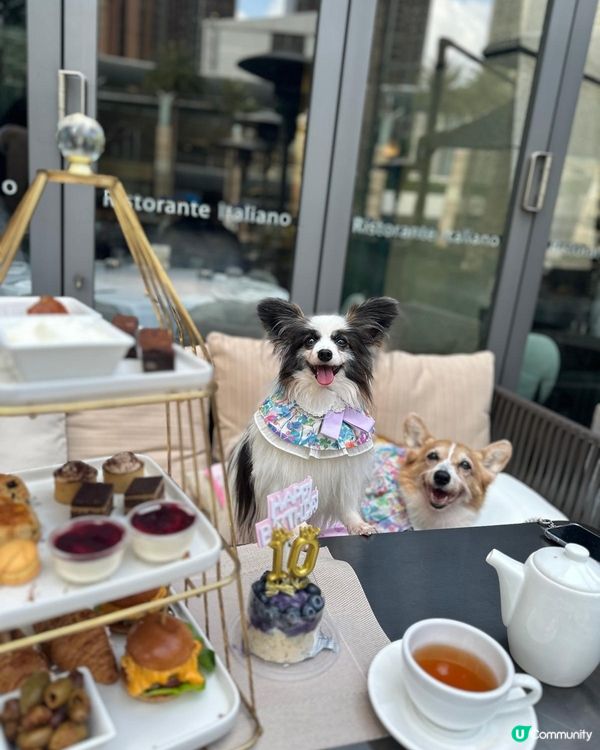 butter10歲生日，DIY生日蛋糕，港女tea慶生🎂