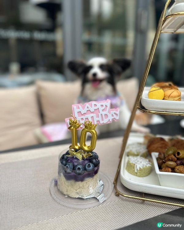 butter10歲生日，DIY生日蛋糕，港女tea慶生🎂