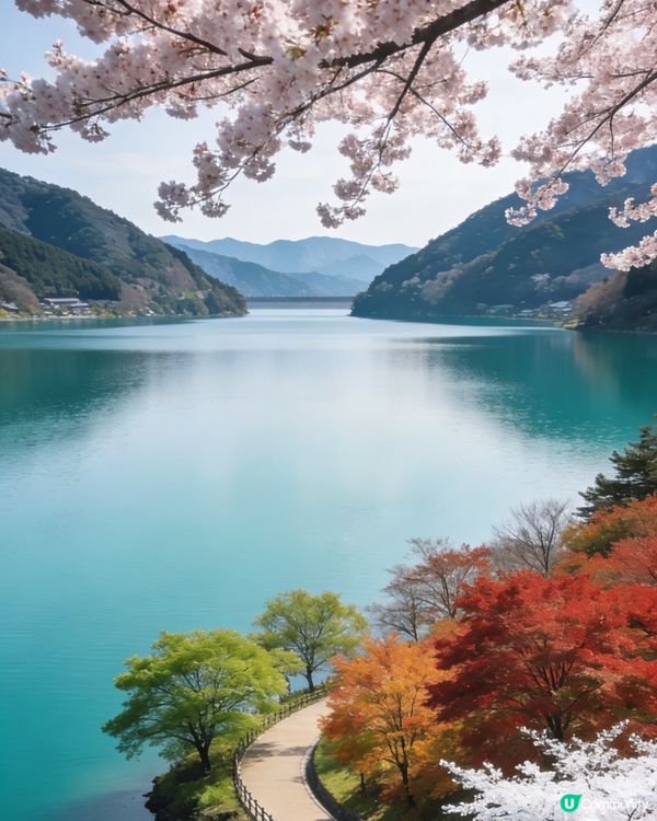 滋賀余吳湖🌊人少景絕💖