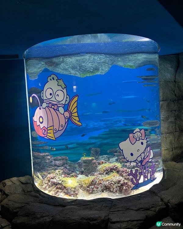 ⭐️同Sanrio角色一齊遊海洋公園