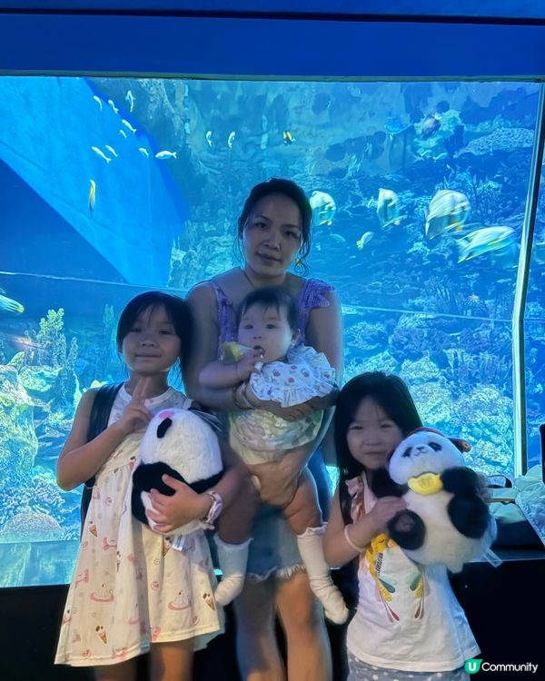 ⭐️同Sanrio角色一齊遊海洋公園