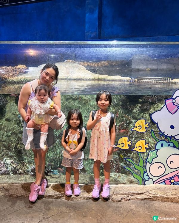 ⭐️同Sanrio角色一齊遊海洋公園