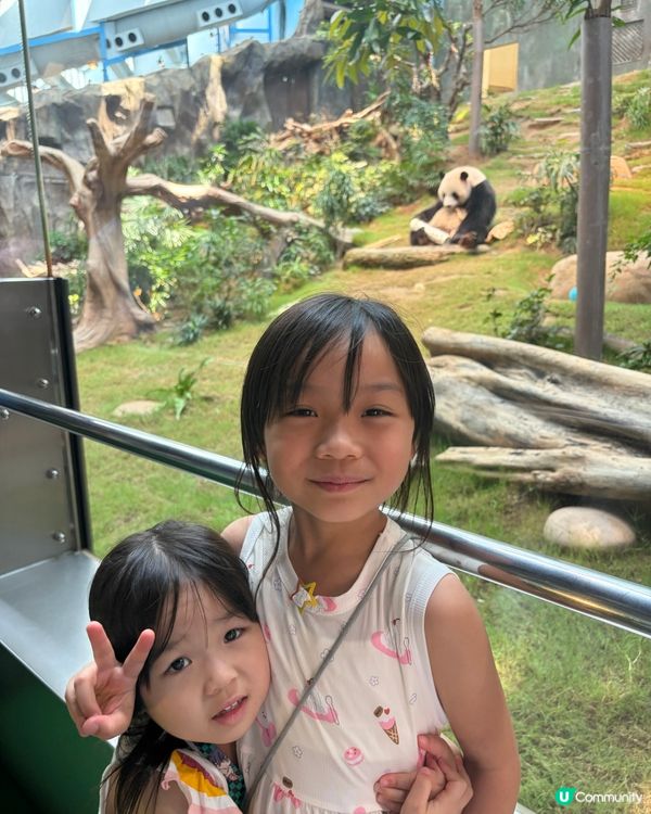 ⭐️同Sanrio角色一齊遊海洋公園