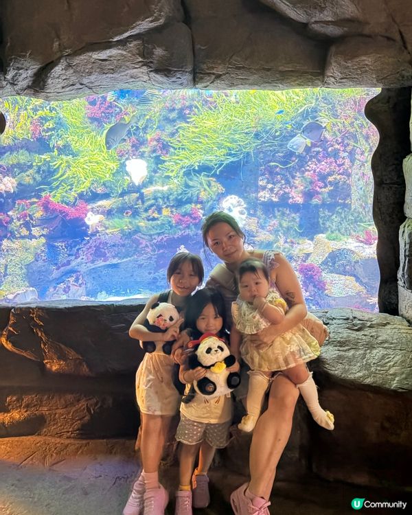 ⭐️同Sanrio角色一齊遊海洋公園