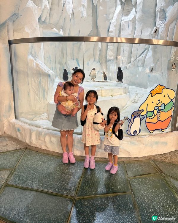 ⭐️同Sanrio角色一齊遊海洋公園