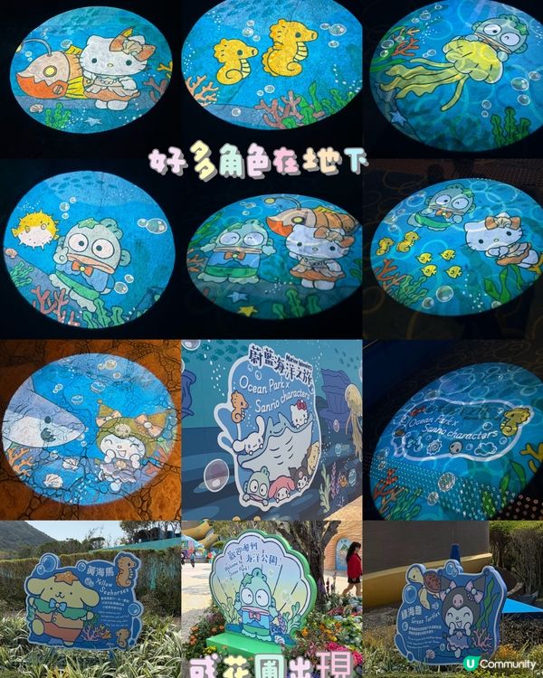 ⭐️同Sanrio角色一齊遊海洋公園