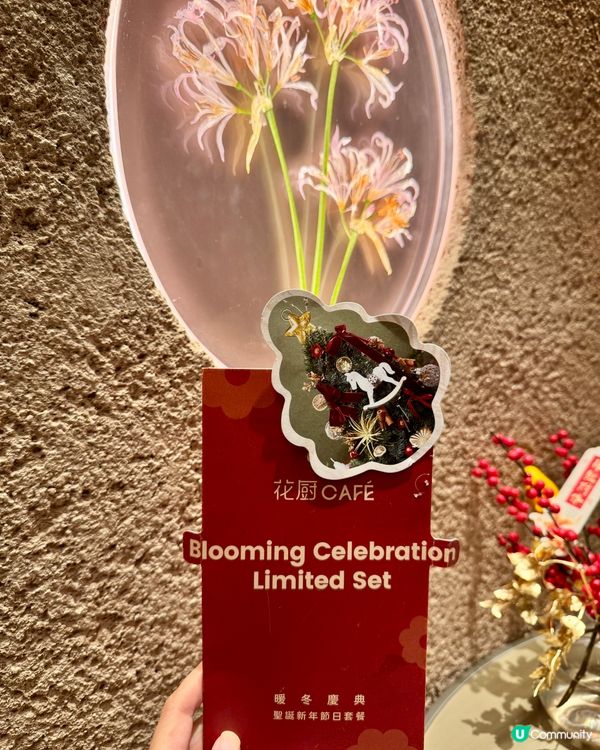 花廚啟德森林系Cafe

聖誕套餐🎄,$688好好味😋👍fe