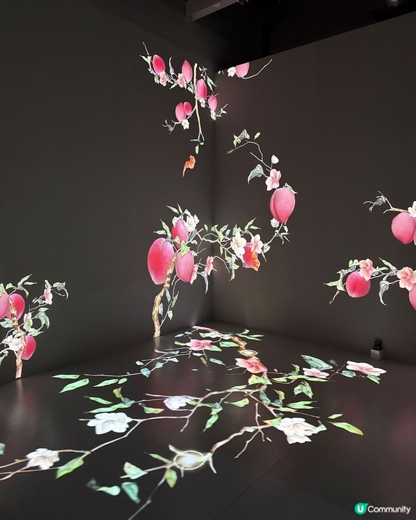 故宮不只埃及展！必睇其他展覽🌟