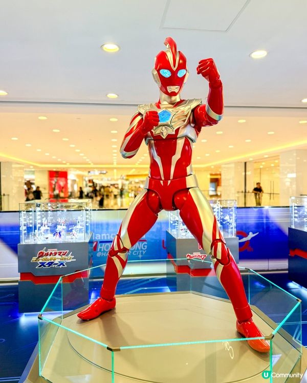 動漫迷必去海港城！高達海賊王登場！💥 🥳