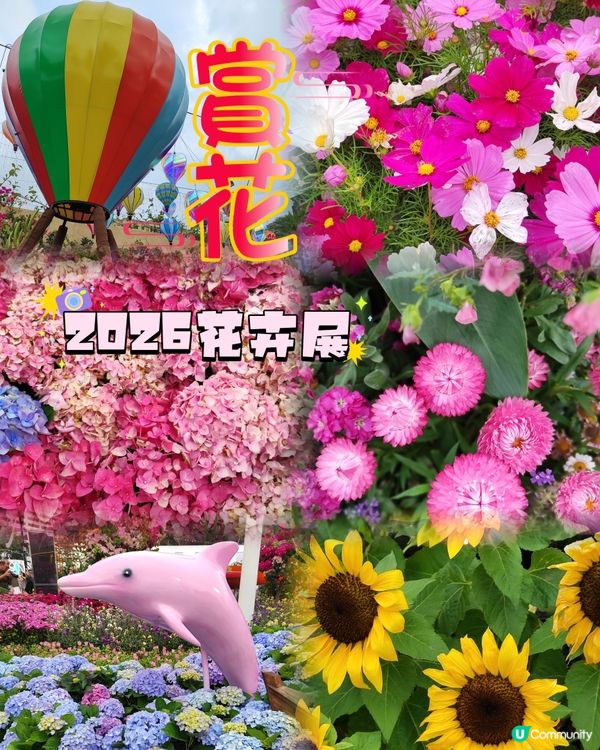 🌷我愛花花🌷之維園花展靚到爆！🌸💜