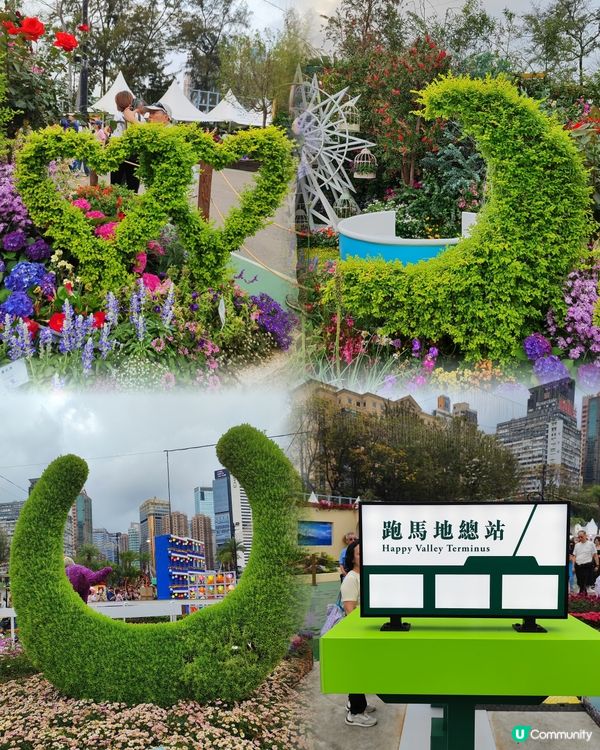 🌷我愛花花🌷之維園花展靚到爆！🌸💜