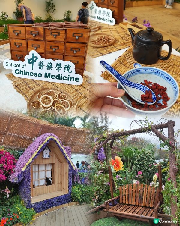 🌷我愛花花🌷之維園花展靚到爆！🌸💜