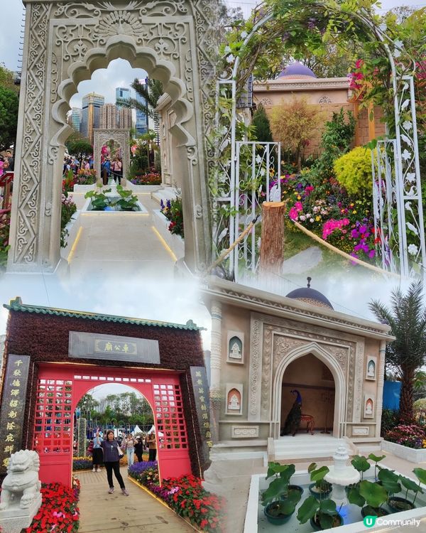 🌷我愛花花🌷之維園花展靚到爆！🌸💜