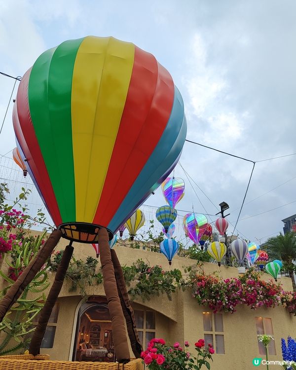 🌷我愛花花🌷之維園花展靚到爆！🌸💜