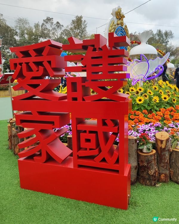 🌷我愛花花🌷之維園花展靚到爆！🌸💜