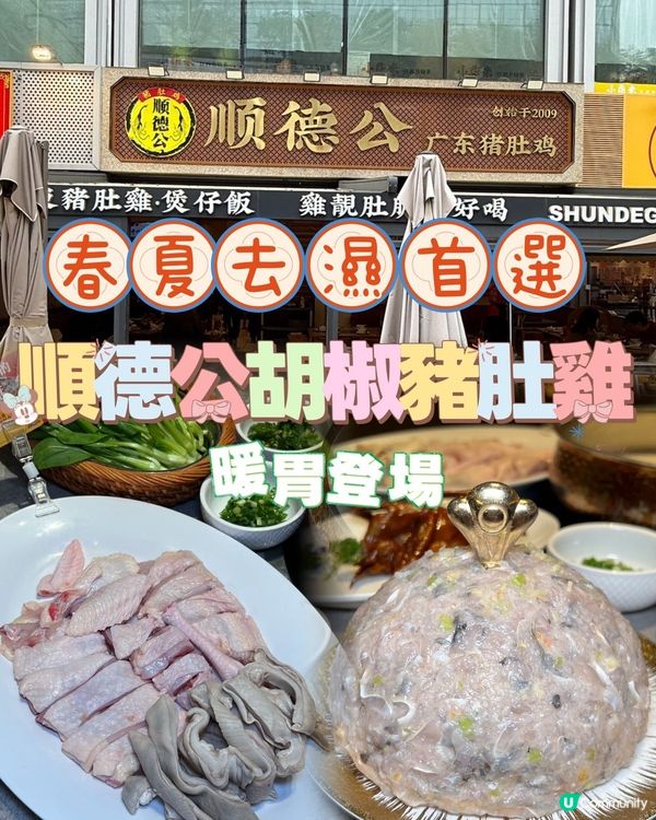 順德公豬肚雞暖胃驱湿🍲🌶️