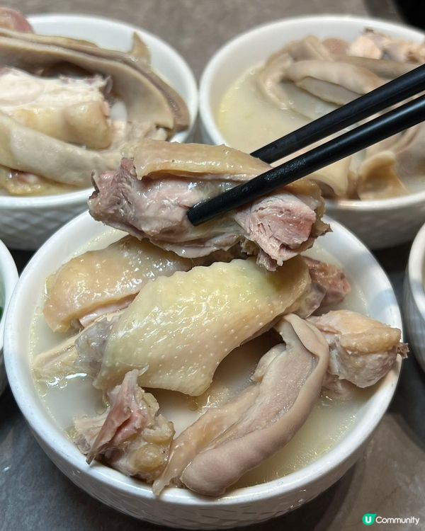 順德公豬肚雞暖胃驱湿🍲🌶️