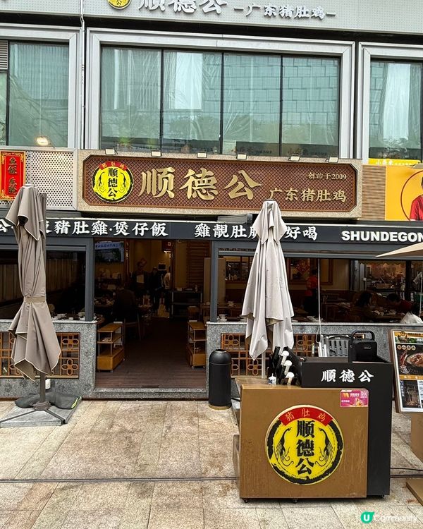 順德公豬肚雞暖胃驱湿🍲🌶️