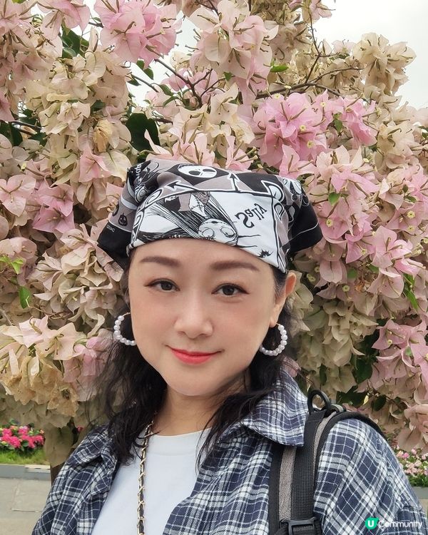 🌷我愛花花🌷之維園花展靚到爆！🌸💜