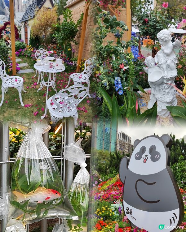 🌷我愛花花🌷之維園花展靚到爆！🌸💜