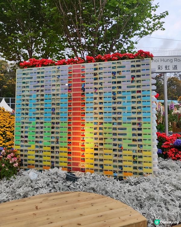 🌷我愛花花🌷之維園花展靚到爆！🌸💜