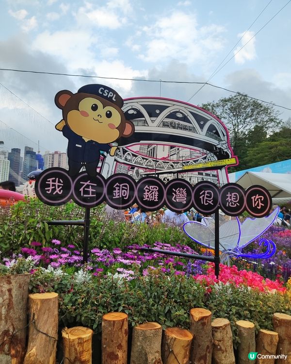 🌷我愛花花🌷之維園花展靚到爆！🌸💜