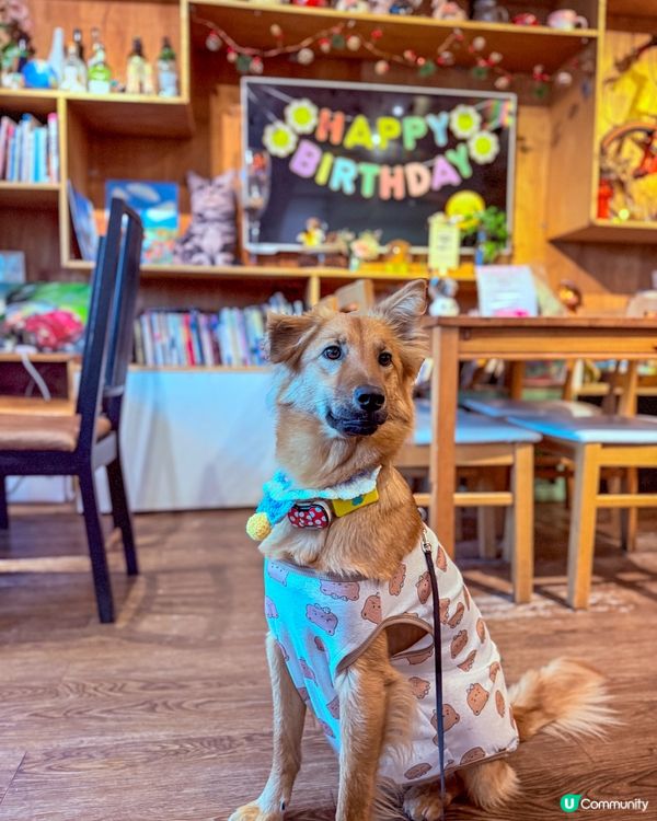 隱世咖啡店🤎☕️