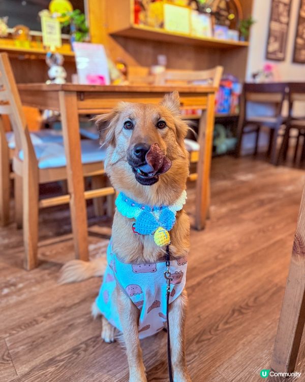 隱世咖啡店🤎☕️