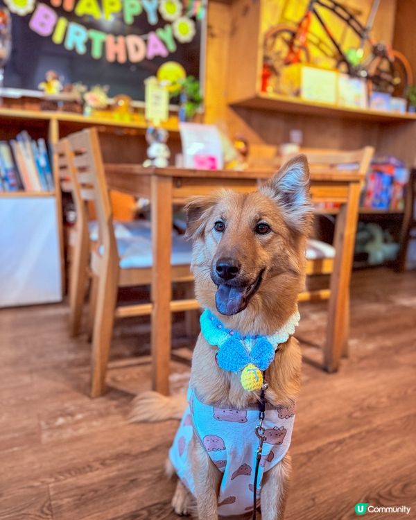 隱世咖啡店🤎☕️