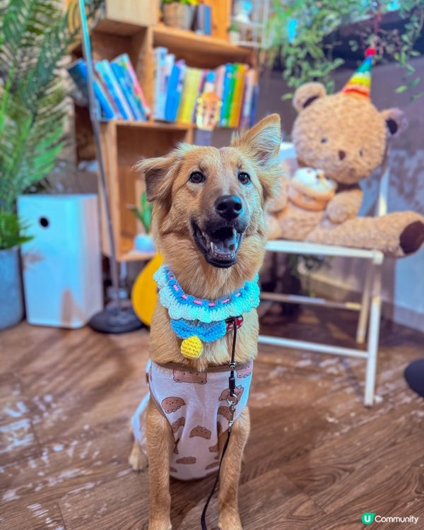 隱世咖啡店🤎☕️