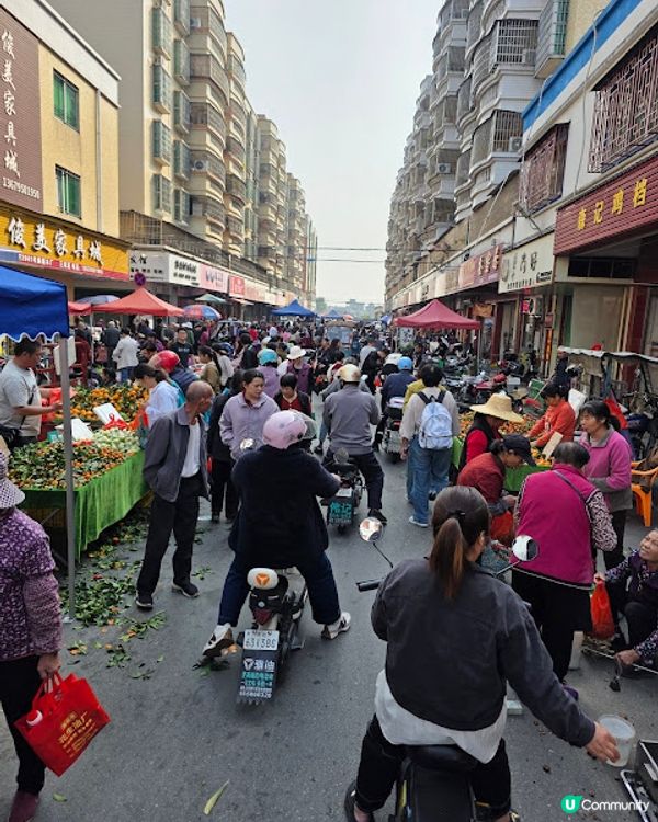 原來清遠好好玩 ~~ DAY 2 ( 英德茶莊採茶 X 趁墟掃貨 X 浸溫泉 ) @ 清遠新世界酒店 ( 清遠 )