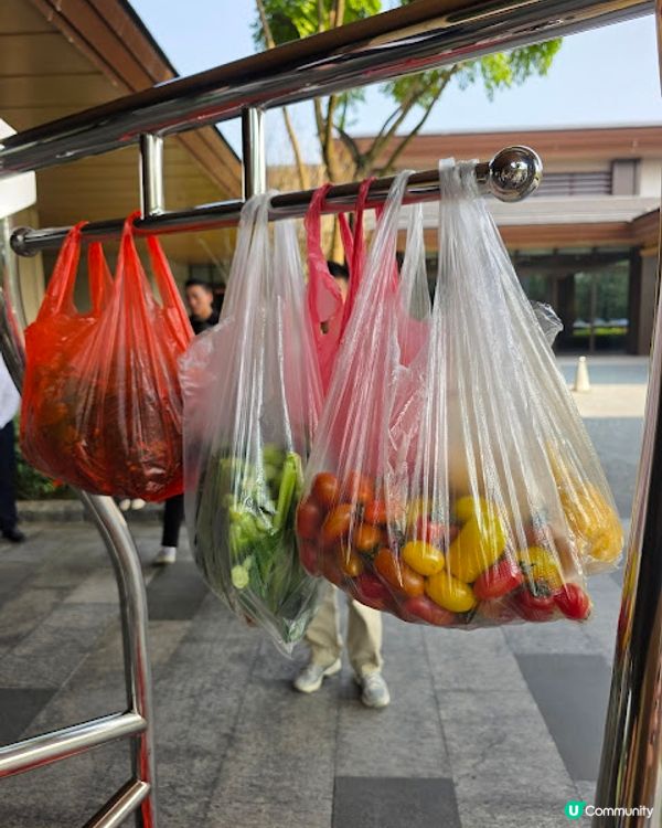 原來清遠好好玩 ~~ DAY 2 ( 英德茶莊採茶 X 趁墟掃貨 X 浸溫泉 ) @ 清遠新世界酒店 ( 清遠 )