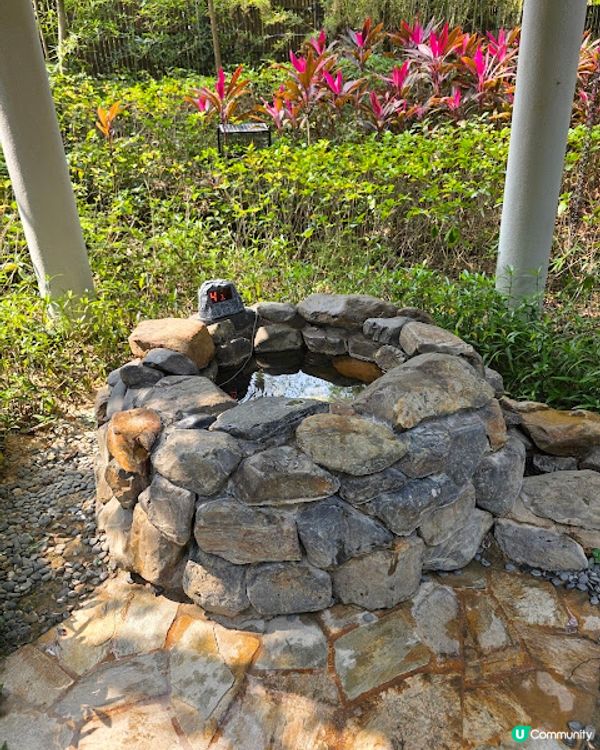 原來清遠好好玩 ~~ DAY 2 ( 英德茶莊採茶 X 趁墟掃貨 X 浸溫泉 ) @ 清遠新世界酒店 ( 清遠 )