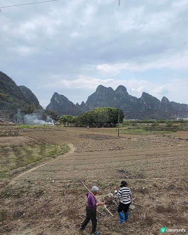 原來清遠好好玩 ~~ DAY 2 ( 英德茶莊採茶 X 趁墟掃貨 X 浸溫泉 ) @ 清遠新世界酒店 ( 清遠 )