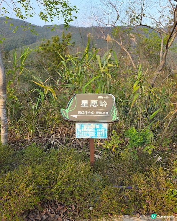 原來清遠好好玩 ~~ DAY 2 ( 英德茶莊採茶 X 趁墟掃貨 X 浸溫泉 ) @ 清遠新世界酒店 ( 清遠 )