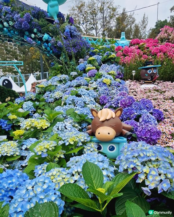 香港花卉展覽 2026