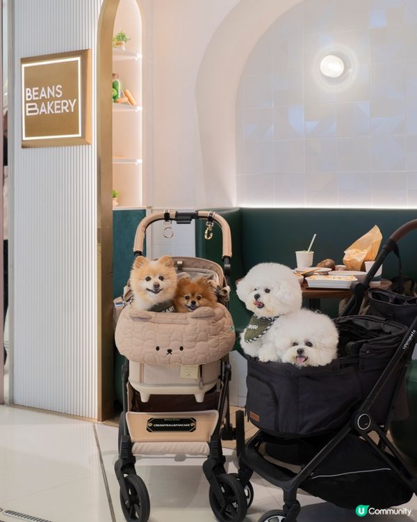 寵物友善餐廳🍽️ 親民價$289食手工意粉！🤩