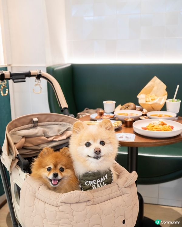 寵物友善餐廳🍽️ 親民價$289食手工意粉！🤩