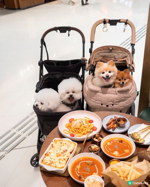 寵物友善餐廳🍽️ 親民價$289食手工意粉！🤩