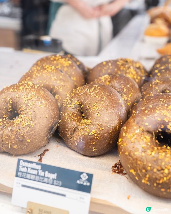 寵物友善餐廳🍽️ 親民價$289食手工意粉！🤩