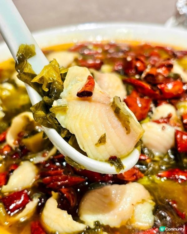 荃灣文樂園🥢｜高質粵菜💯｜飯聚好選擇😋